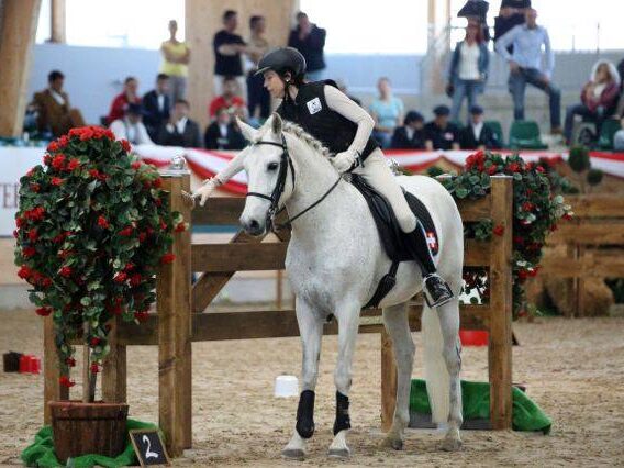 Working Equitation